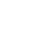 SAIMPEX SA Logo